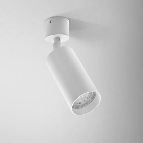 Zamów dziś Reflektor PET 230V oprawa natynkowa 10045-0000-U8-PH Aqform