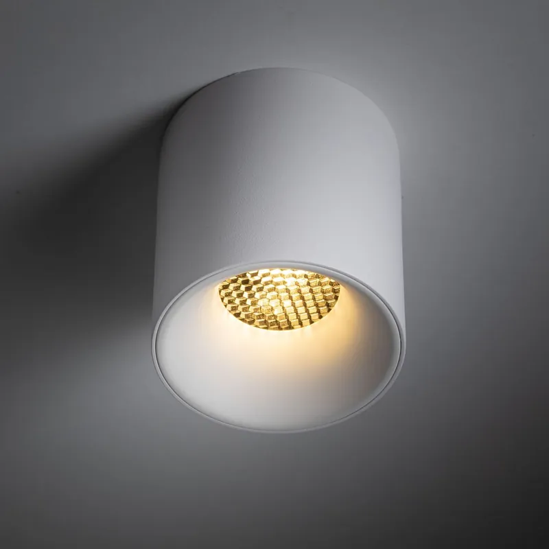 Blaze lampa sufitowa 1xLED 12W CCT biała 18157 Super okazja